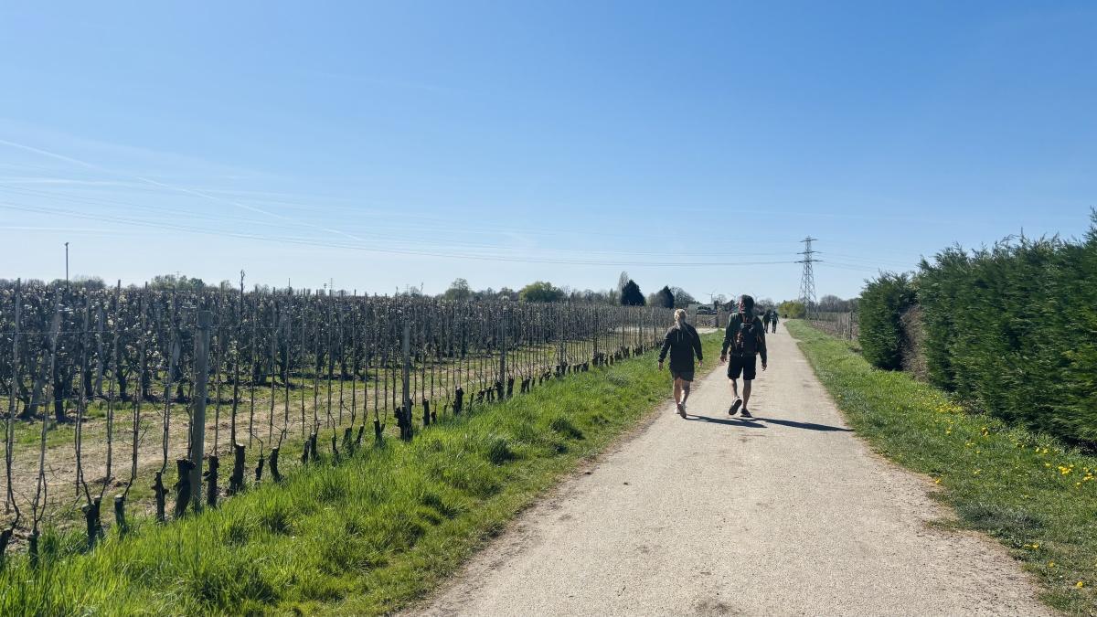 Terugblik op een heerlijk bloesemweekend (incl. bloesemstand)! 🌸☀️