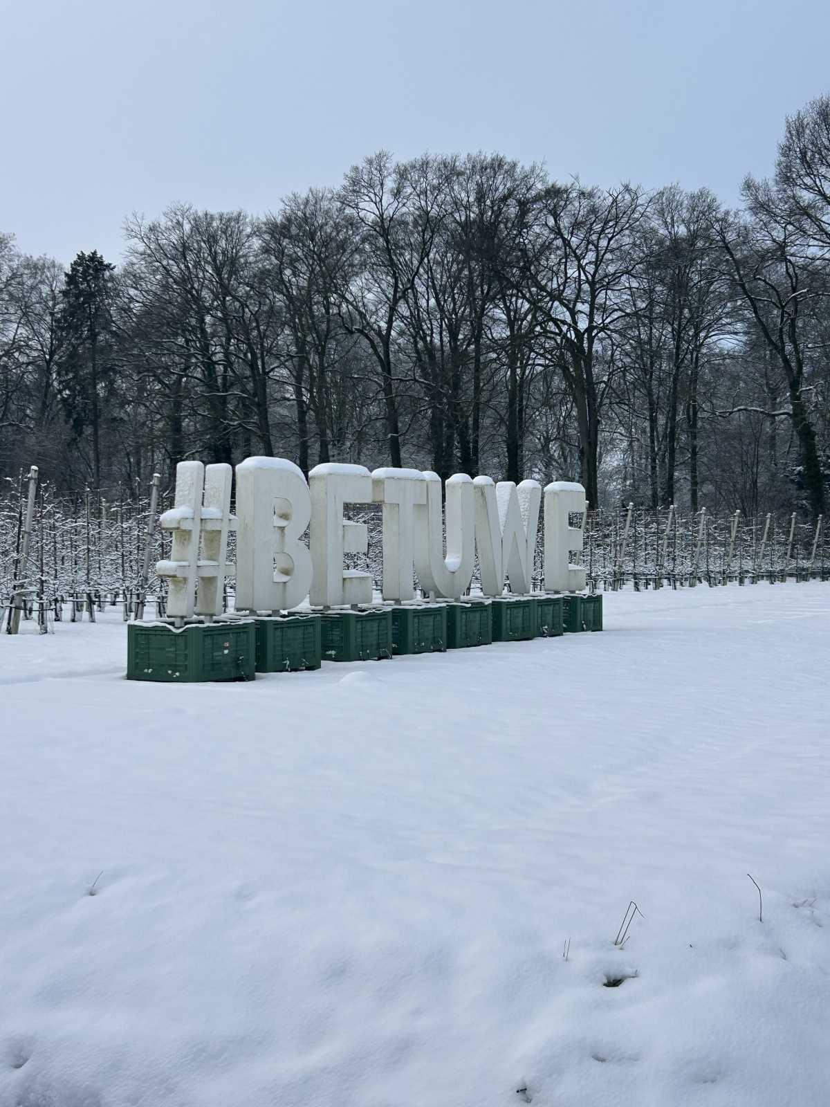De bloesembomen staan er vandaag nog winters bij ❄️