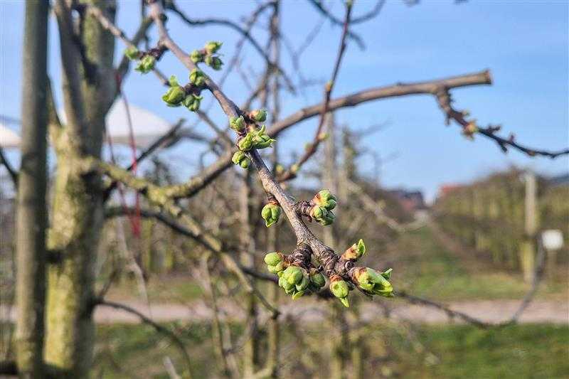 Het kan snel gaan!☀️🌸✨