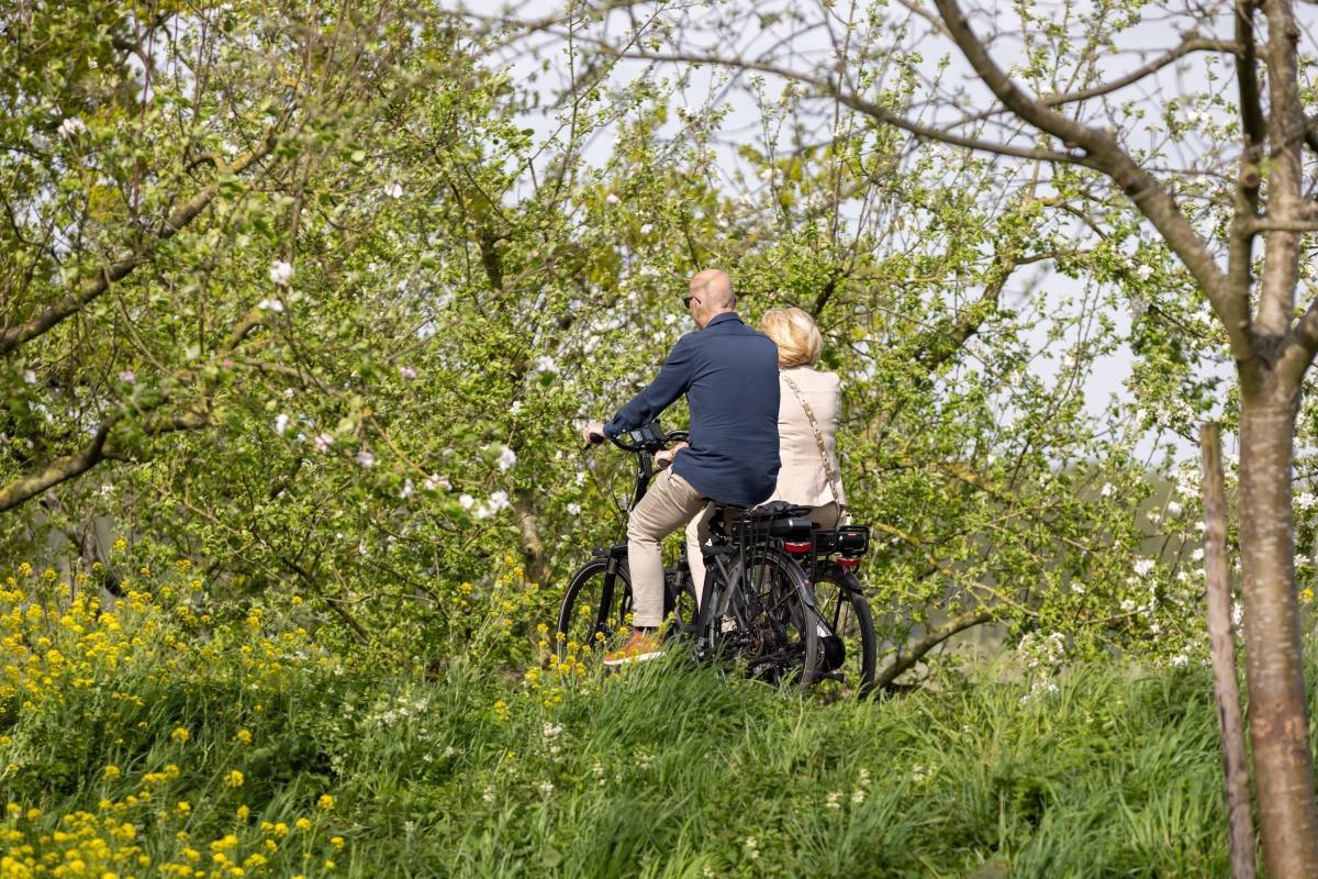 Wandelen langs de bloesem 🌸 