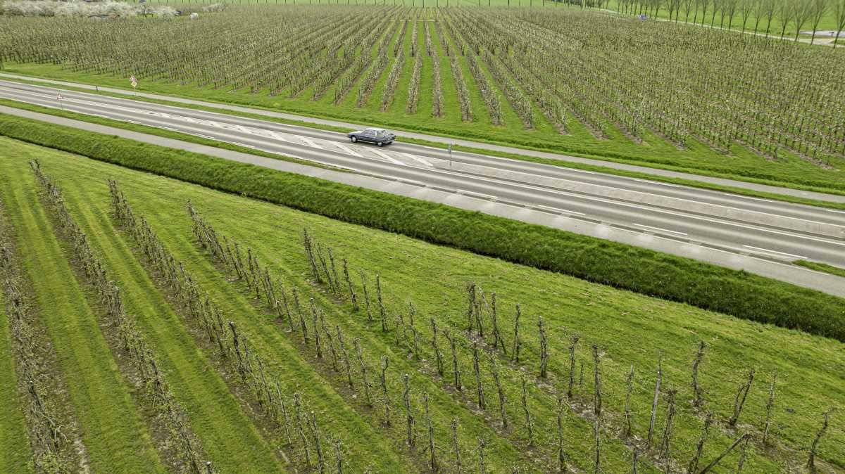 Appelbloesem hotspot: Ommeren โ Natuurlijk GRUUN ๐ธ Appelbloesem hotspot: Ommeren โ Natuurlijk GRUUN ๐ธ