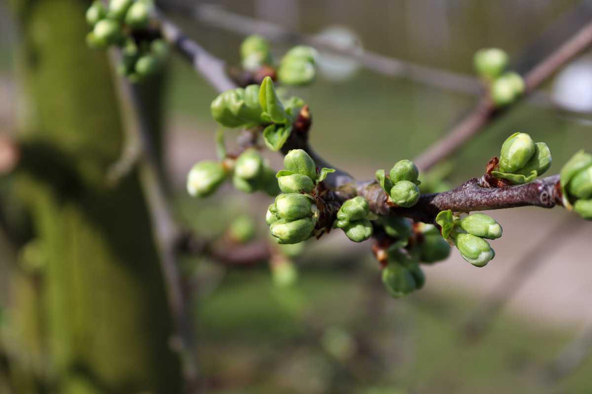Het gaat beginnen!🌸 Het gaat beginnen!🌸
