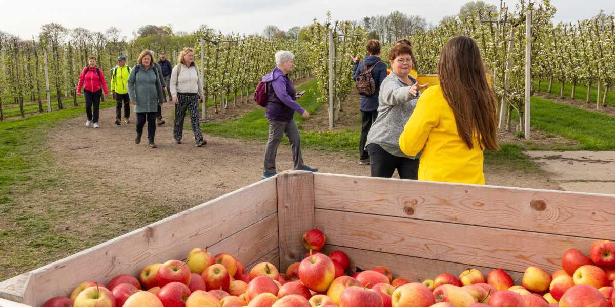 Terugblik: Betuwse Bloesemtocht was een groot succes!🌸