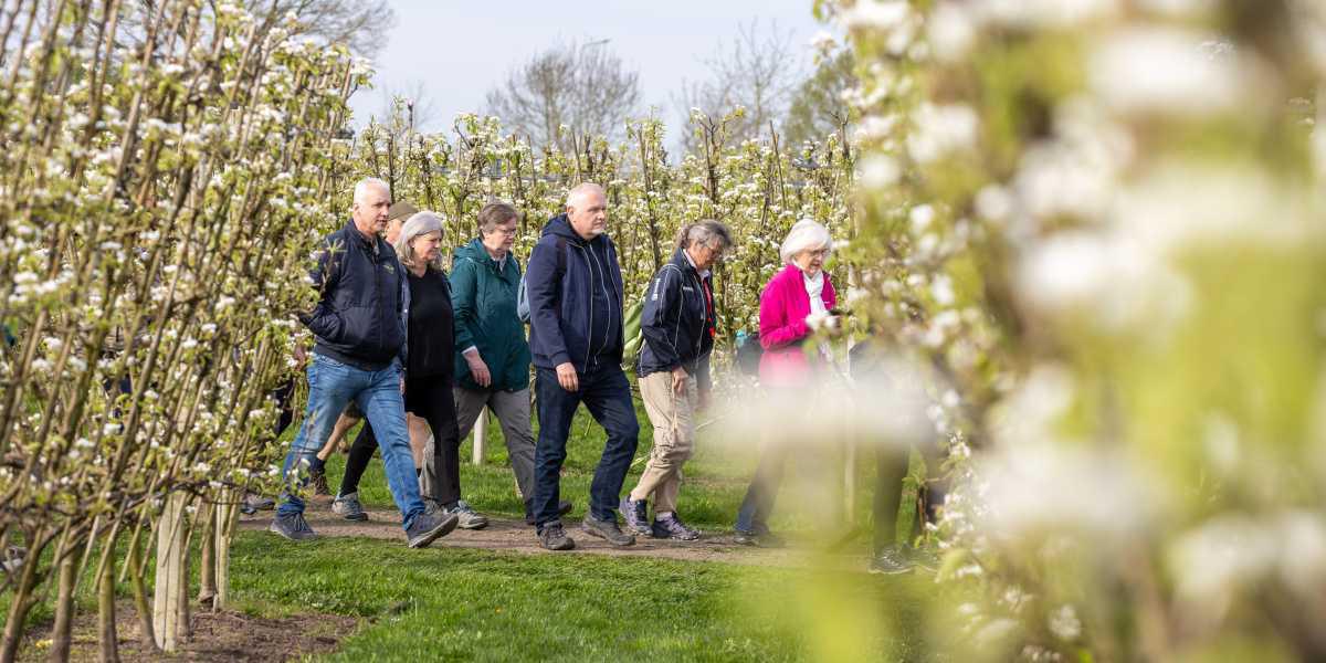 Terugblik: Betuwse Bloesemtocht was een groot succes!๐ธ Terugblik: Betuwse Bloesemtocht was een groot succes!๐ธ