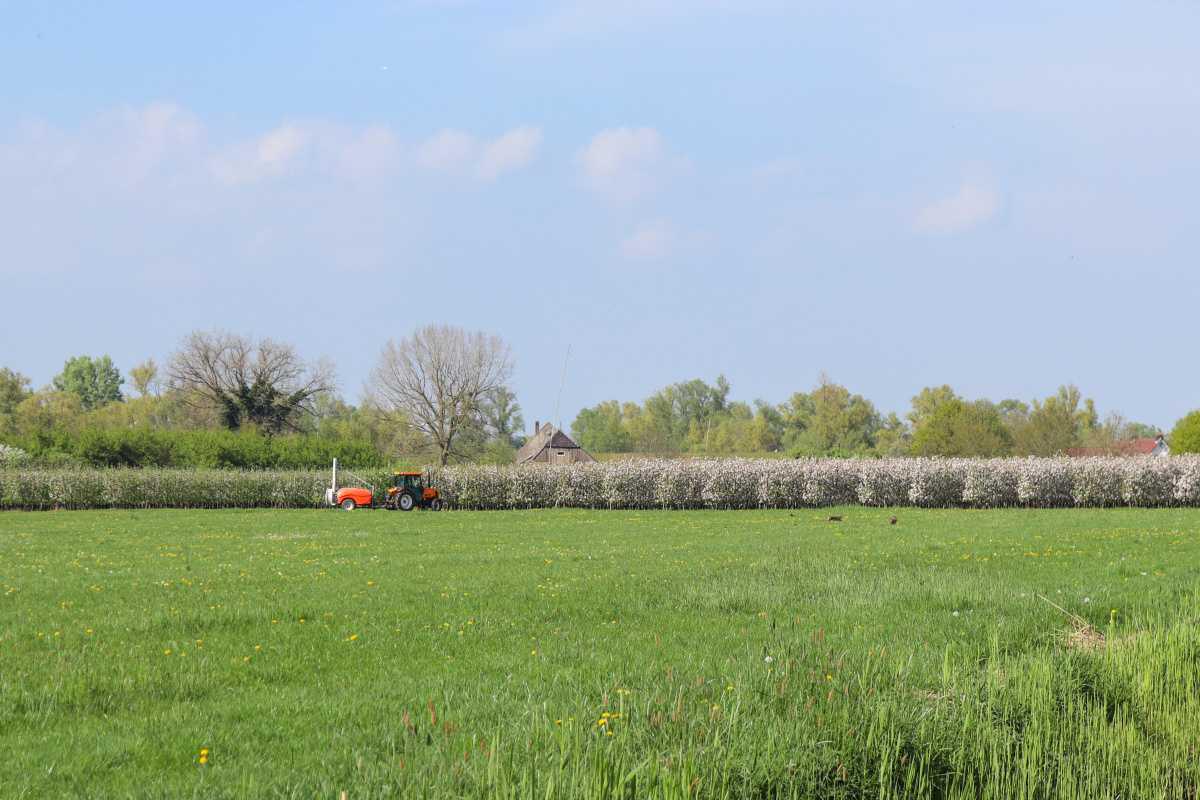 Nog één weekend vol bloesem🍎🌸 