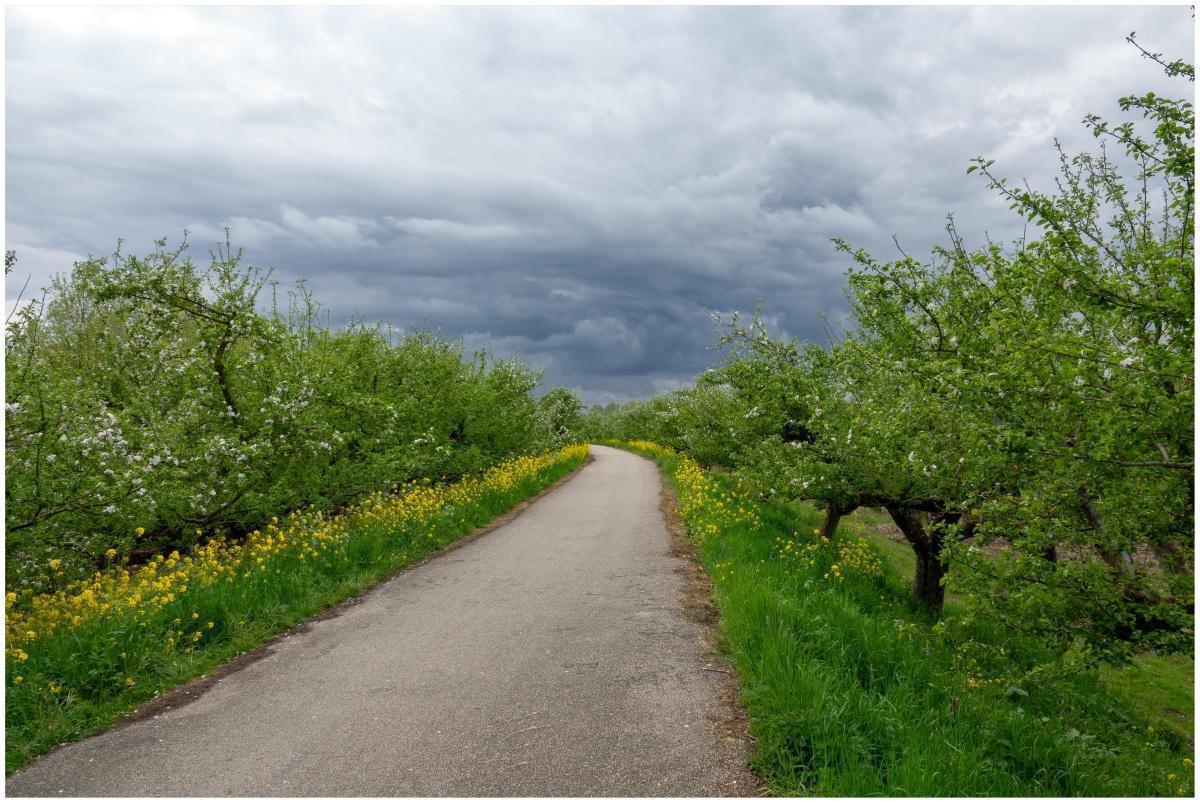 Appeldijk 2