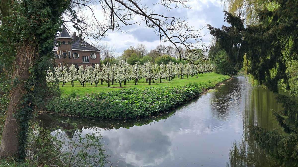 Bloesem Kerk Avezaath