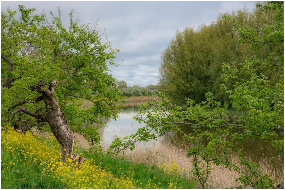De Linge langs de appeldijk