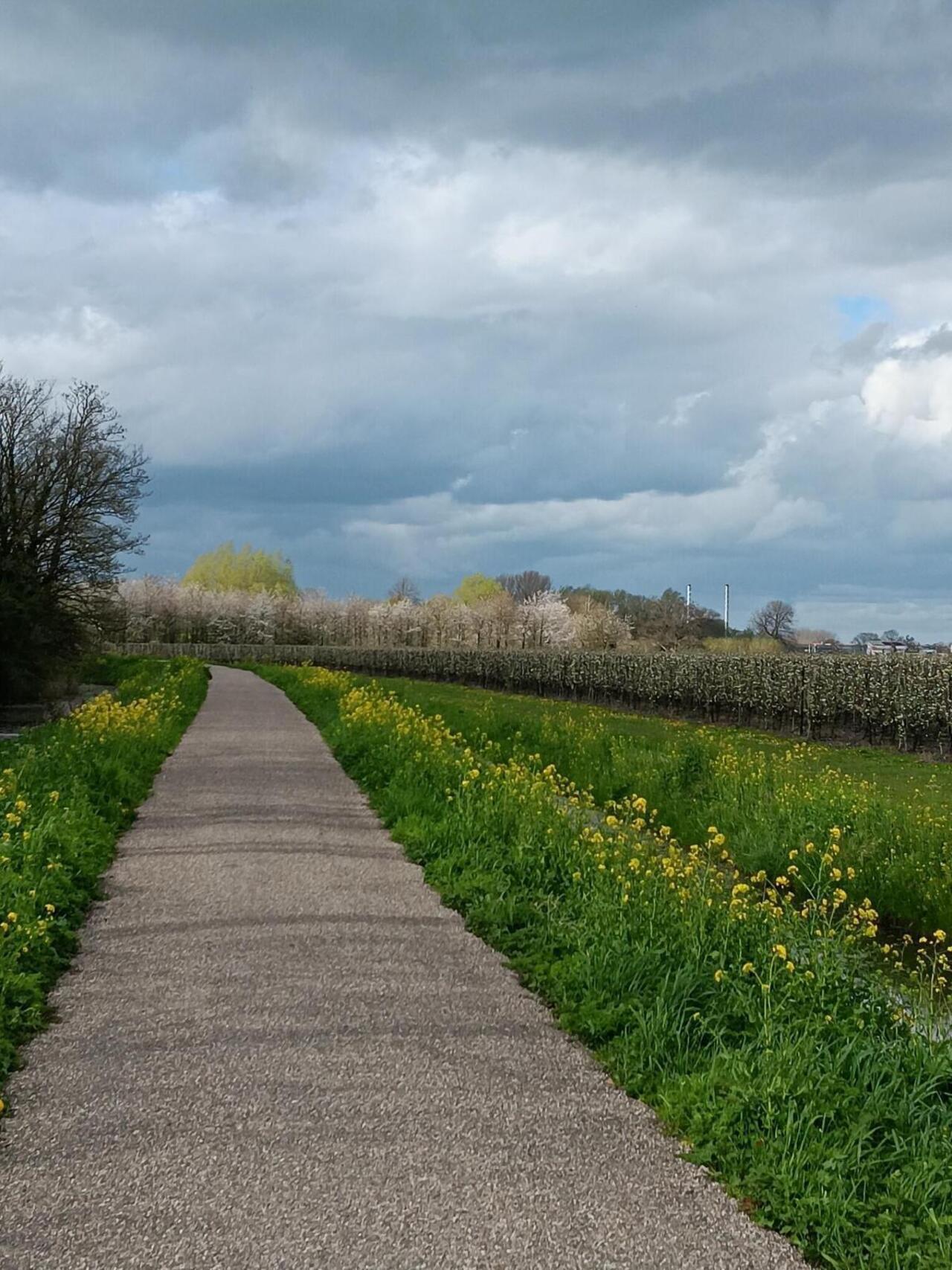Bloesem vanaf de Oude Zuiderlingedijk richting Leerdam