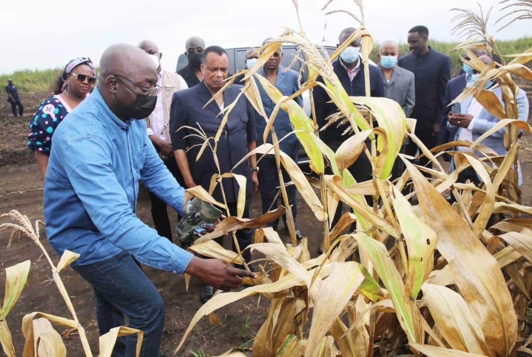 Économie. Denis Sassou N'Guesso encourage les agriculteurs d'Étsouali et de Ngo-Kourate 