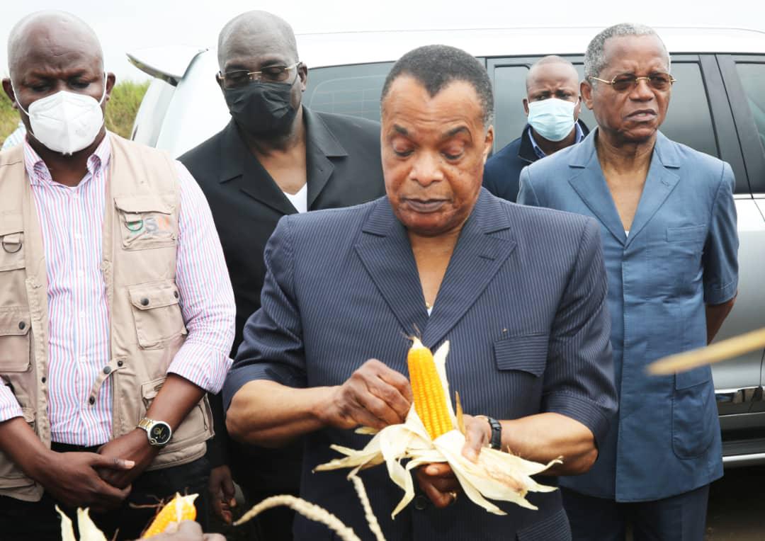 62è anniversaire de l'indépendance. L'agriculture au coeur des priorités de Denis Sassou N'Guesso