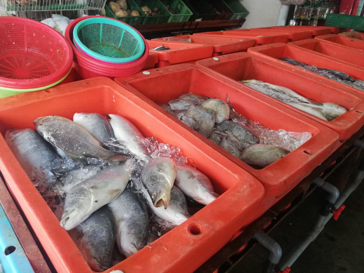  Pasar Segar dan Runcit Rayyan