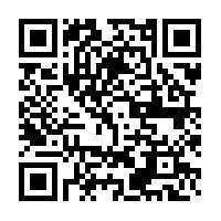 Colour Pets Colour Pets