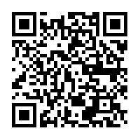 Arman Carpet Arman Carpet