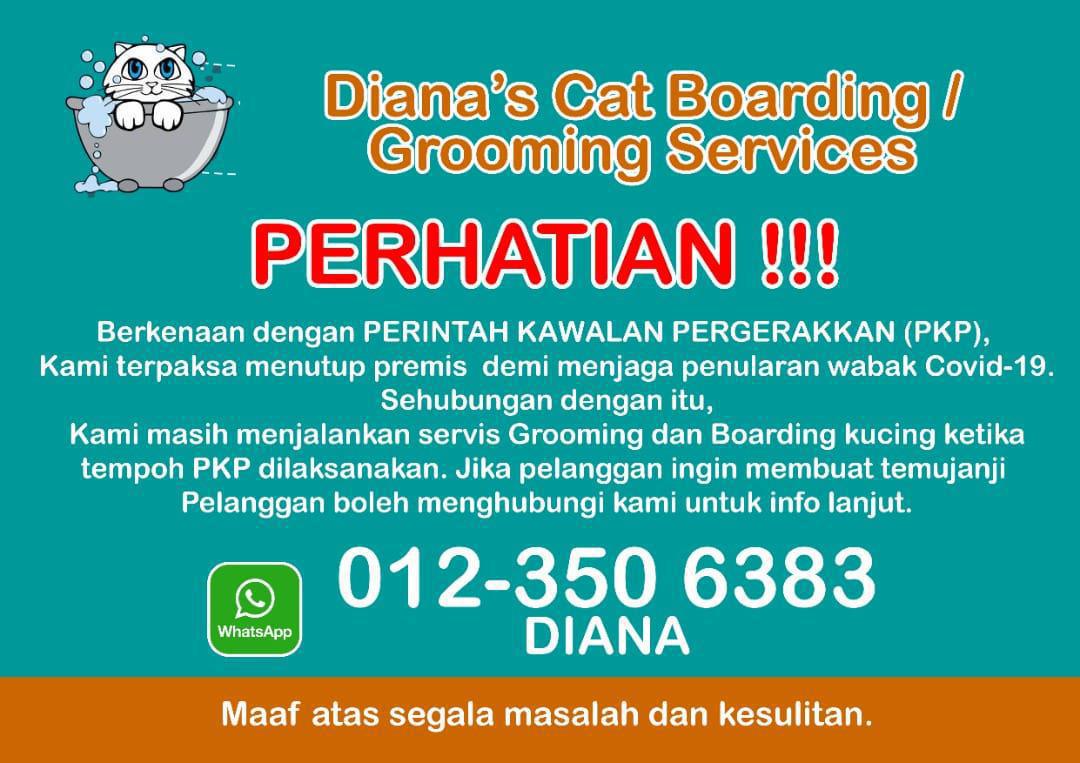 Diana Cat's Boarding & Grooming