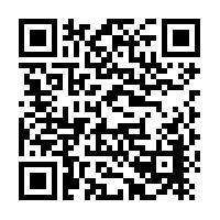 KD Antique KD Antique