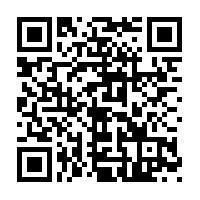 Catz Boutique