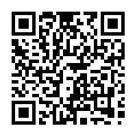 MFZ Marketing Agencies