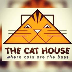 The Cat House