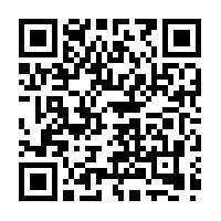 MZ Durrani Boutique MZ Durrani Boutique