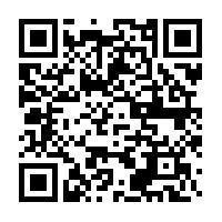 Cat Disney Petshop Cat Disney Petshop