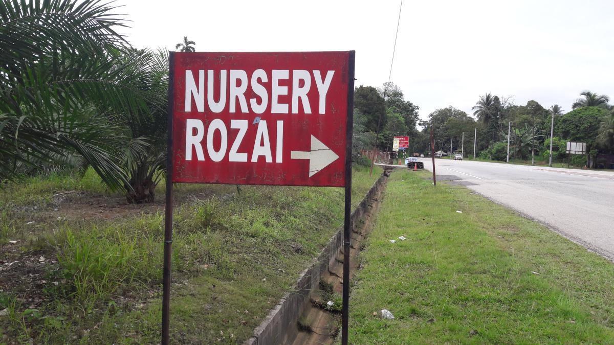 Rozai Plant Enterprise Rozai Plant Enterprise