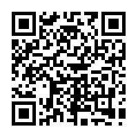 Amir Besi (stainless steel) Amir Besi (stainless steel)