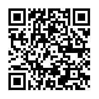 Amys Collection Amys Collection