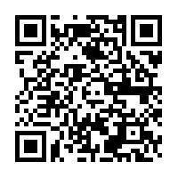 Normi On-line Biz