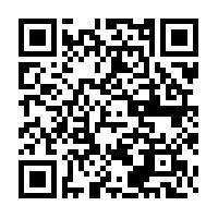 C2 Petshop C2 Petshop