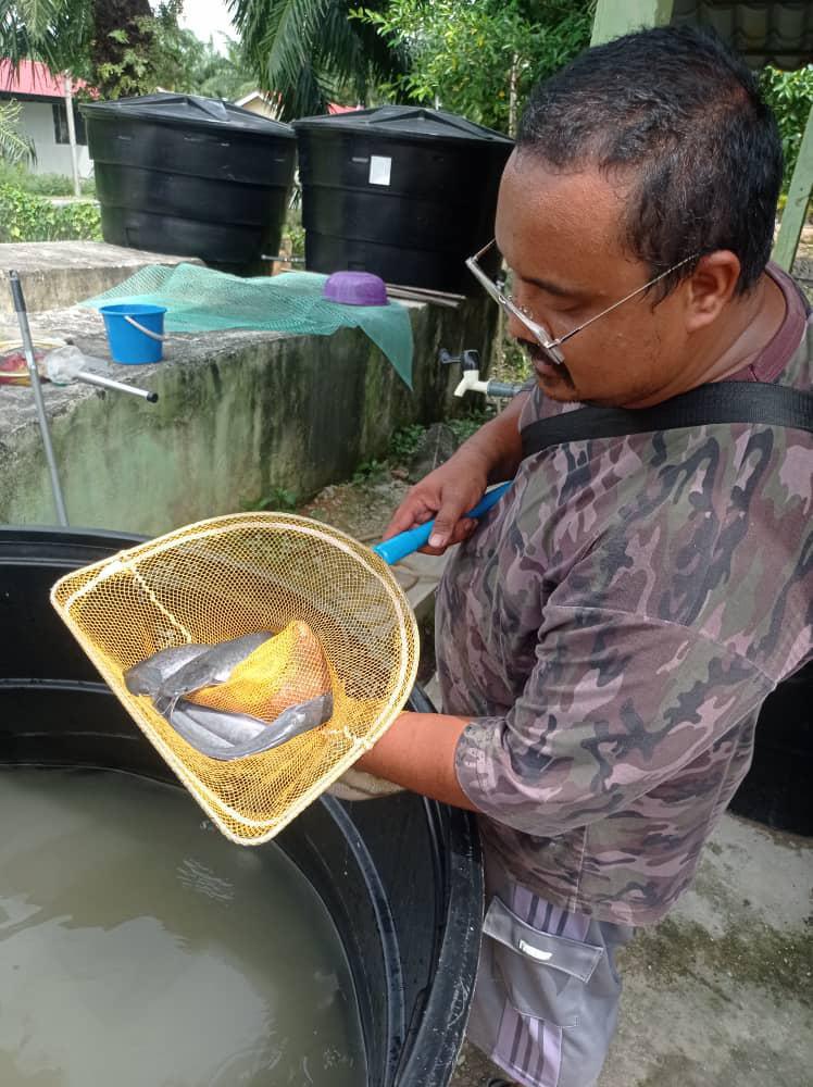 Iki Food Resources Iki Food Resources