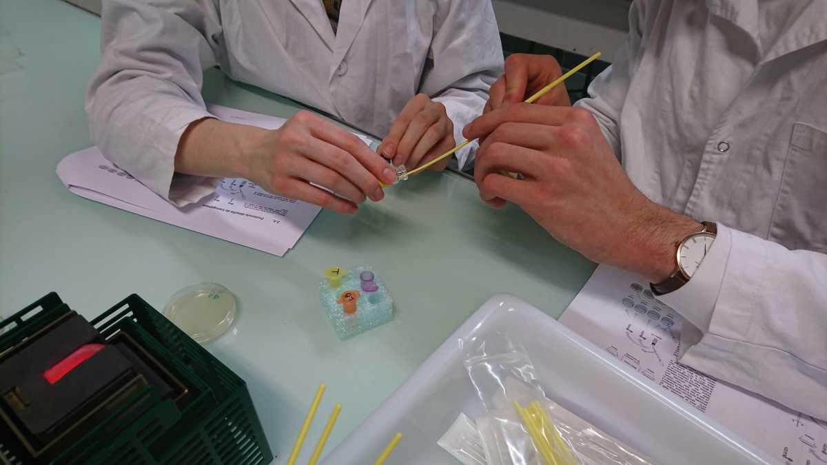 Présentation prépa BCPST - Biologie -Chimie - Physique - Sciences de la Terre Présentation prépa BCPST - Biologie -Chimie - Physique - Sciences de la Terre