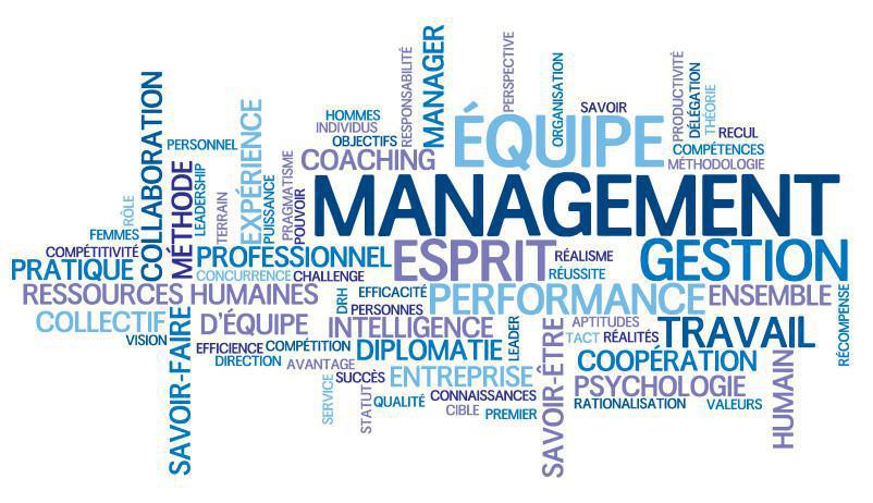 La Première et la Terminale STMG La Première et la Terminale STMG