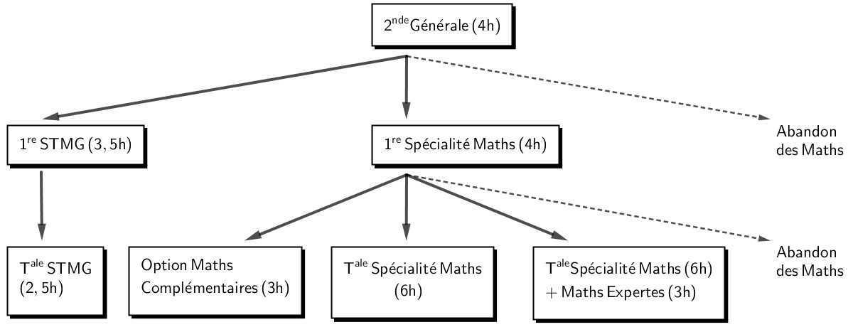 Les Mathématiques au lycée Louis Barthou Les Mathématiques au lycée Louis Barthou
