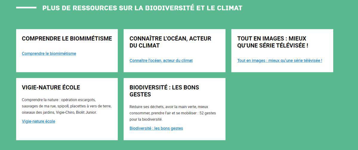 Elections des représentant(e)s lycéen(ne)s et des éco-délégué(e)s