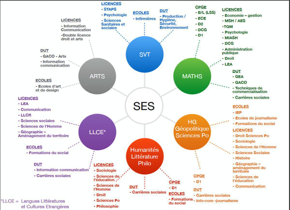 L'enseignement de spécialité Sciences Économiques et Sociales (SES) L'enseignement de spécialité Sciences Économiques et Sociales (SES)