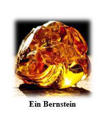 Les élèves de 2de ABIBAC écrivent sur le "limes" germanique Les élèves de 2de ABIBAC écrivent sur le "limes" germanique