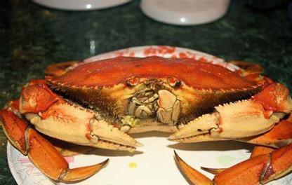 Ein Austausch mit Schüler/innen aus Büsum - Un échange avec des élèves de Büsum Ein Austausch mit Schüler/innen aus Büsum - Un échange avec des élèves de Büsum