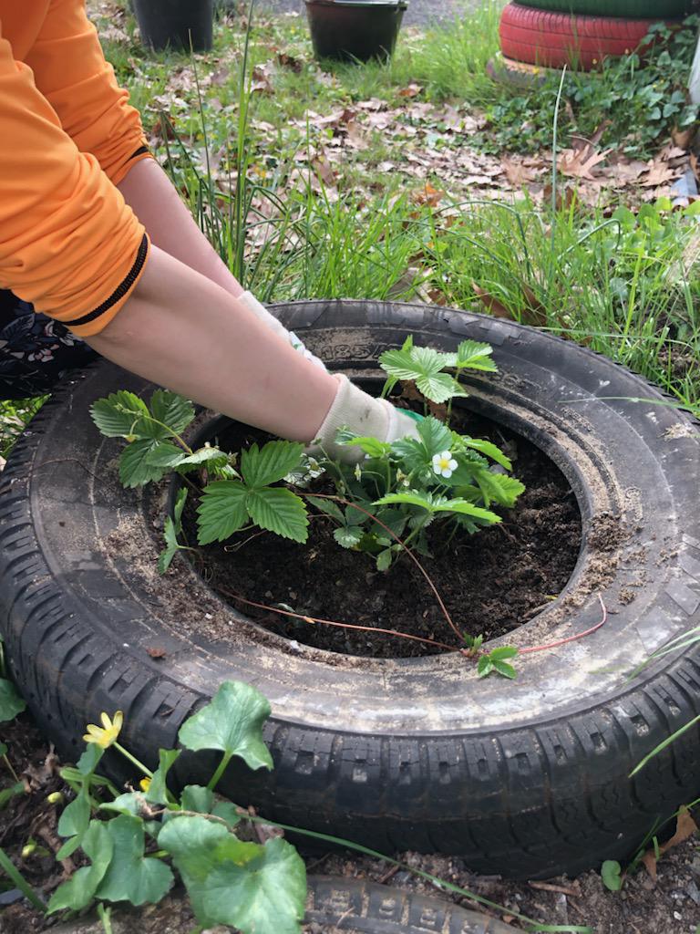 Remise du 1er Prix « Les Jeunes et l’environnement » du Lions Club, jeudi 15 septembre Remise du 1er Prix « Les Jeunes et l’environnement » du Lions Club, jeudi 15 septembre