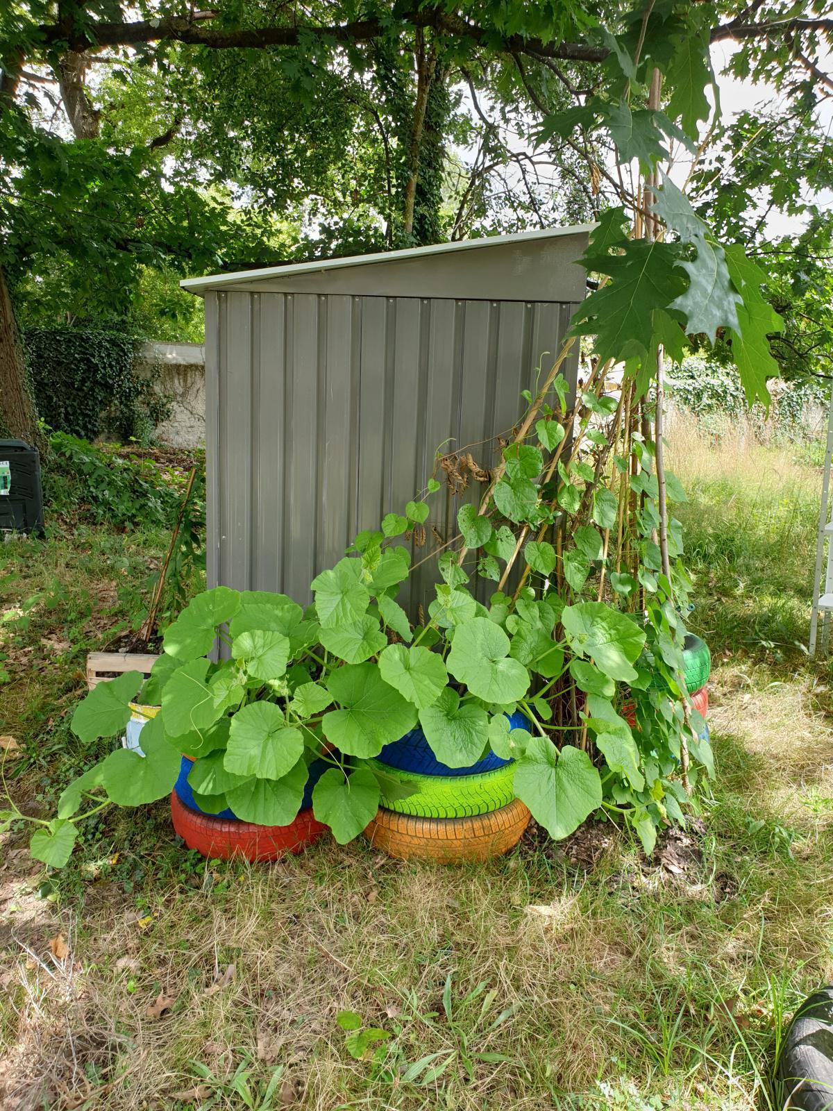 Remise du 1er Prix « Les Jeunes et l’environnement » du Lions Club, jeudi 15 septembre