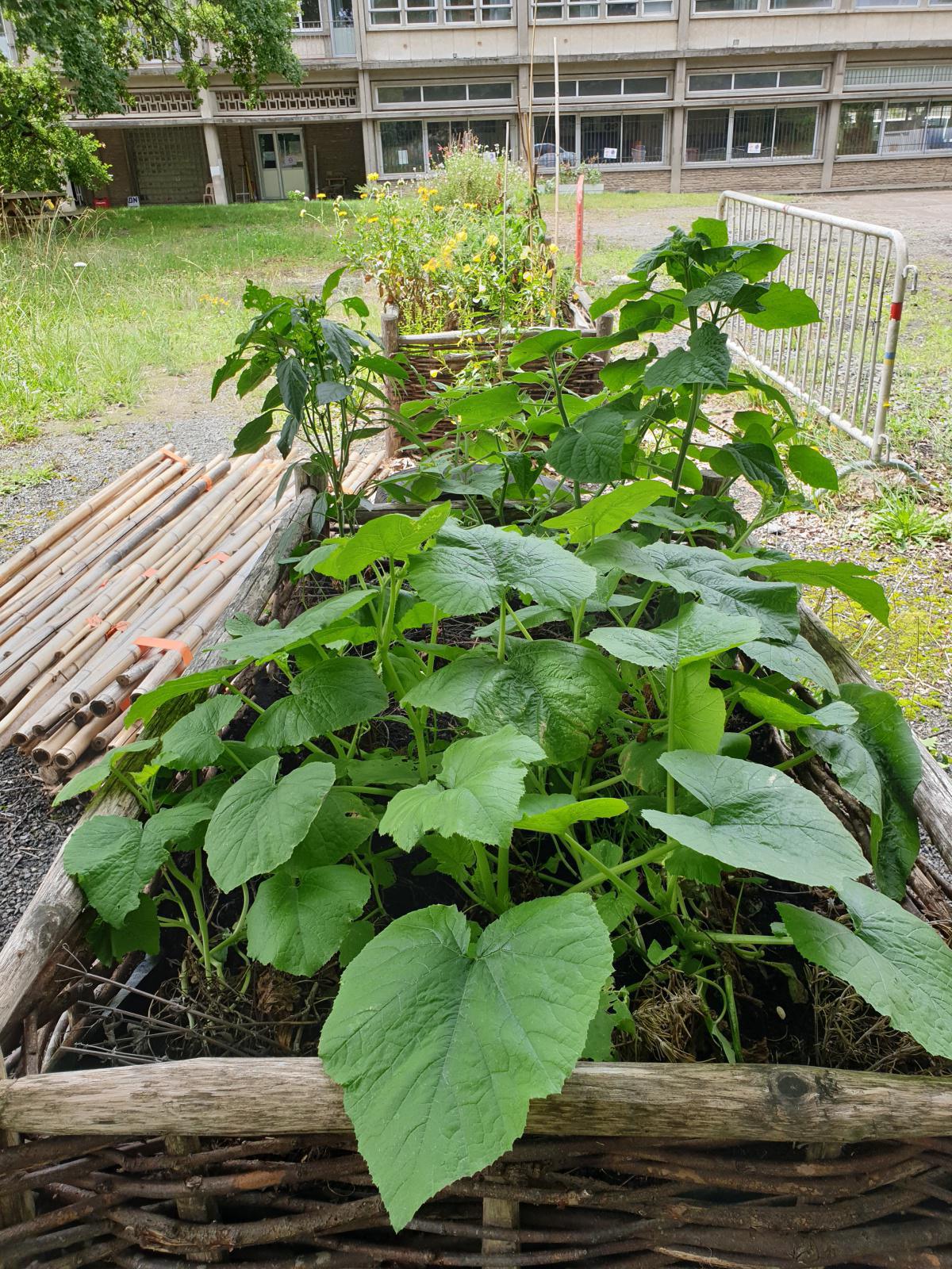Remise du 1er Prix « Les Jeunes et l’environnement » du Lions Club, jeudi 15 septembre Remise du 1er Prix « Les Jeunes et l’environnement » du Lions Club, jeudi 15 septembre