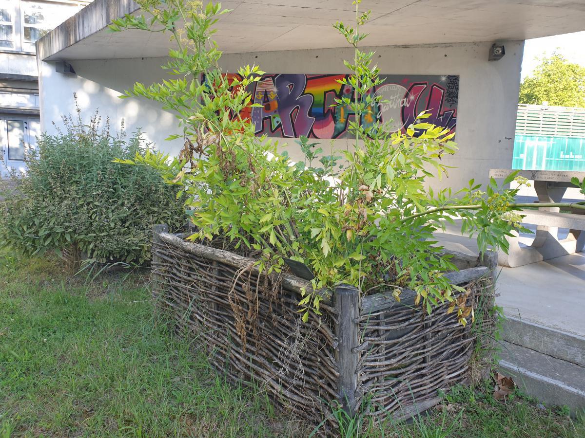 Remise du 1er Prix « Les Jeunes et l’environnement » du Lions Club, jeudi 15 septembre