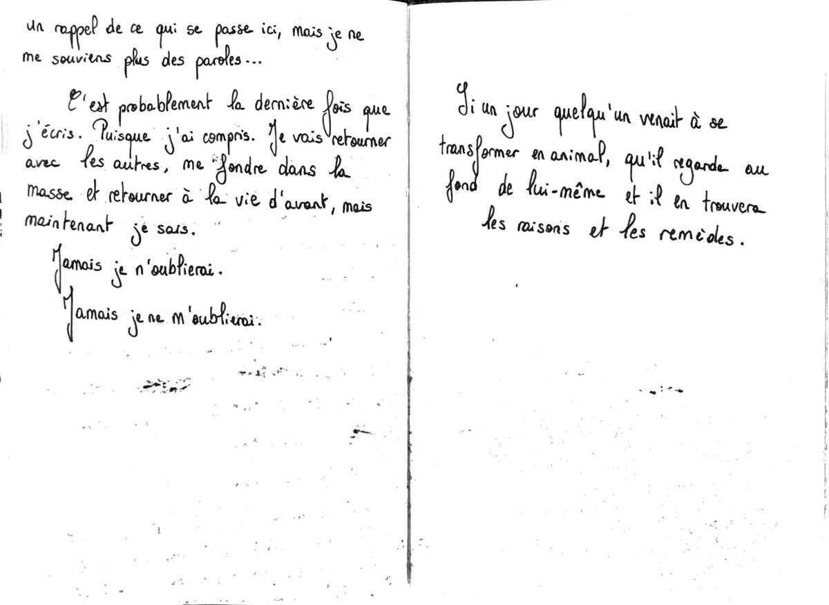 AUTOBIOGRIFFON AUTOBIOGRIFFON