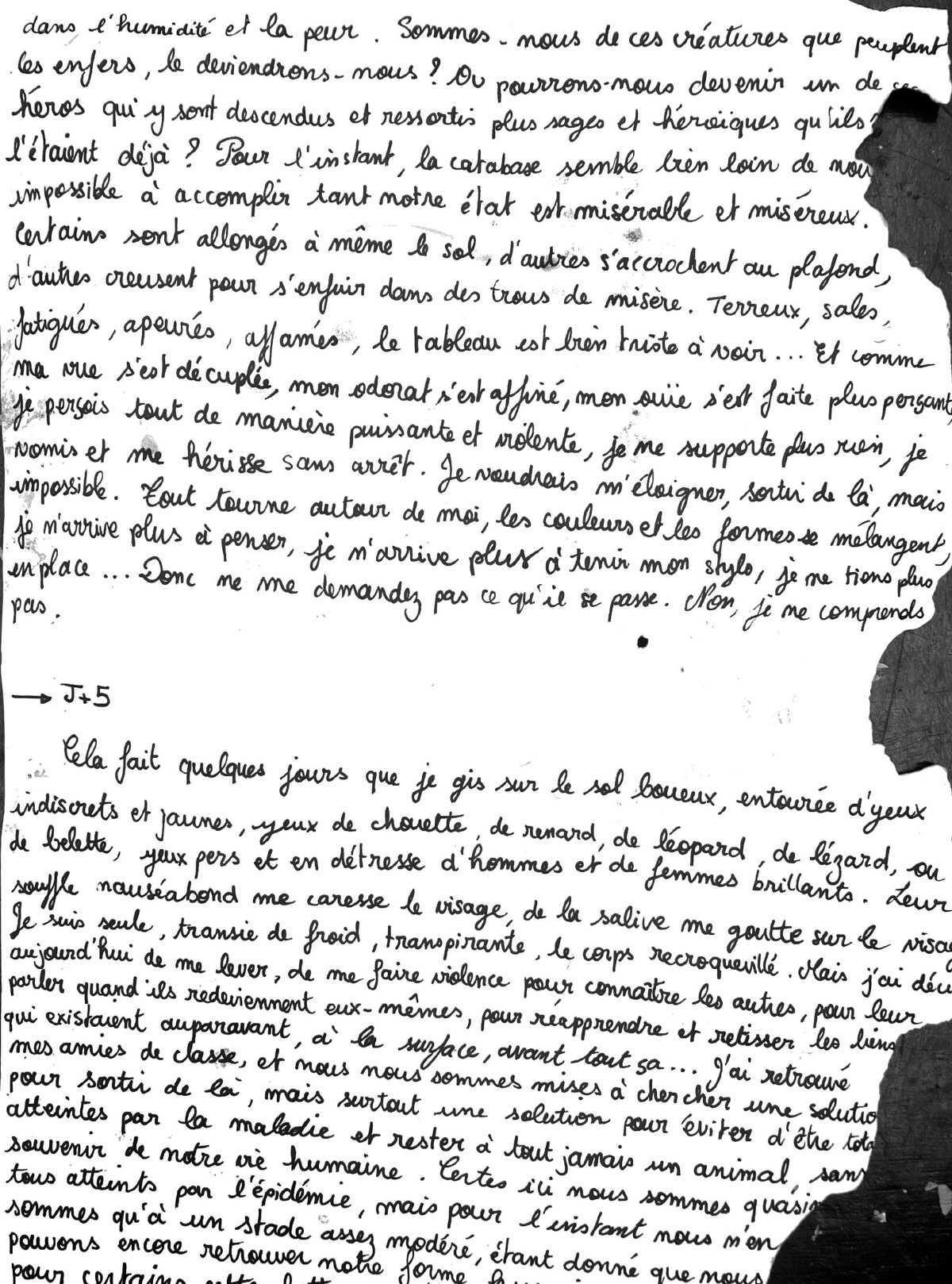 AUTOBIOGRIFFON AUTOBIOGRIFFON