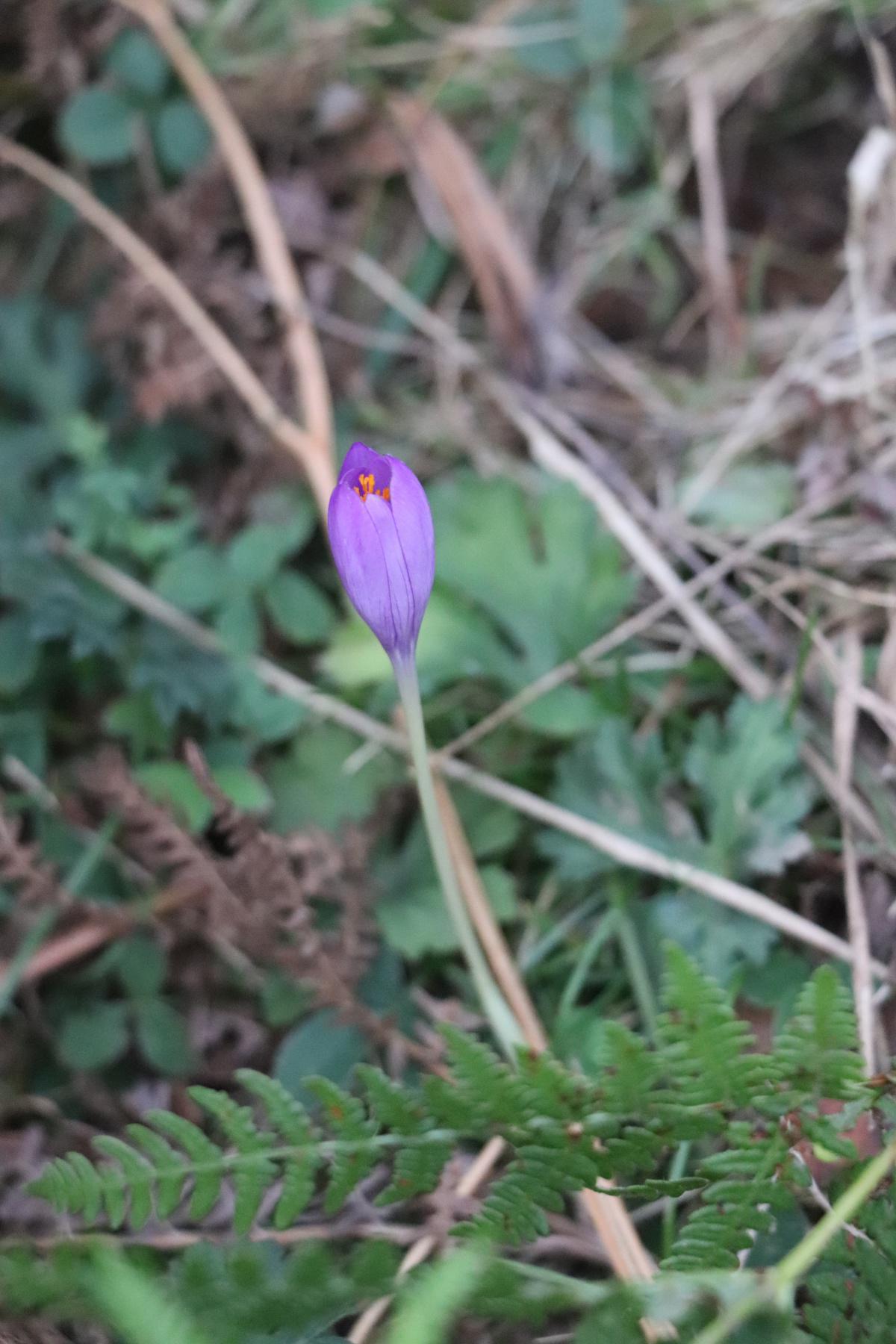 Sortie géologique dans la vallée des géants