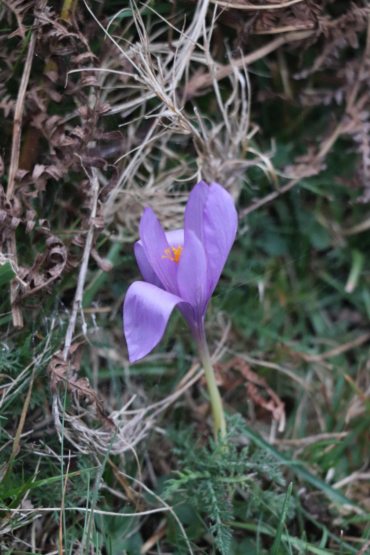 Sortie géologique dans la vallée des géants