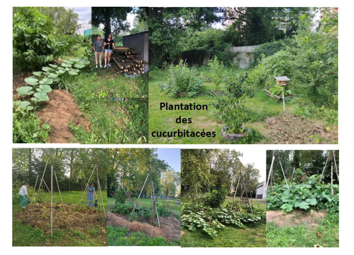 L'équipe éco-lycée : entre le jardinage et la poésie L'équipe éco-lycée : entre le jardinage et la poésie