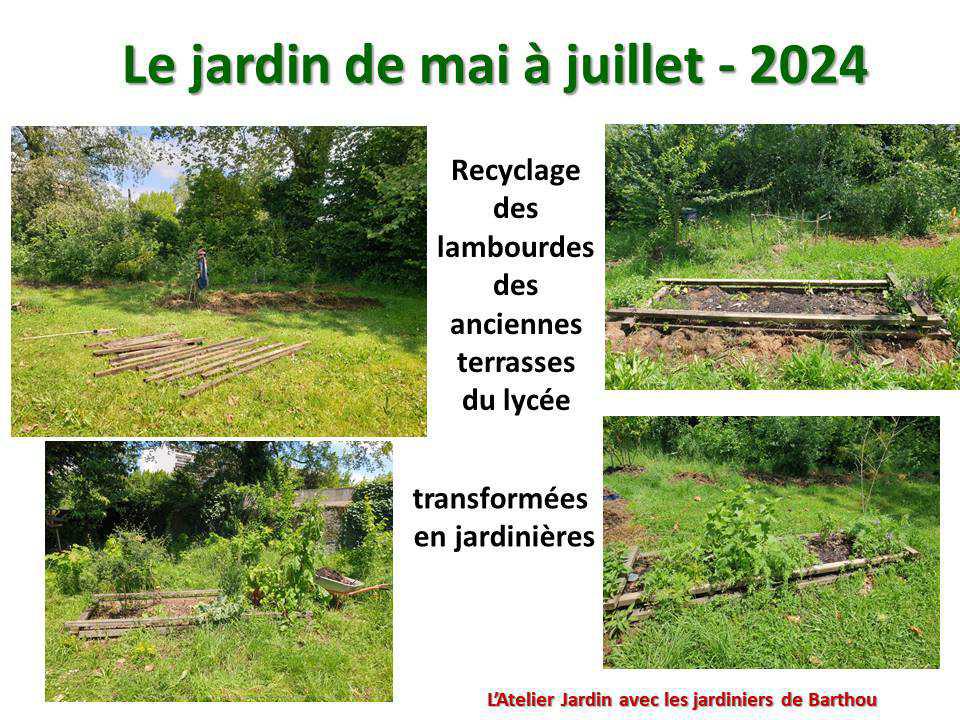 Un petit tour au jardin du lycée : le jardin de mai à juillet 2024