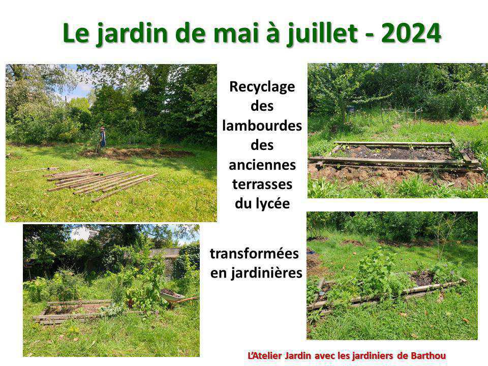 Un petit tour au jardin du lycée : le jardin de mai à juillet 2024 Un petit tour au jardin du lycée : le jardin de mai à juillet 2024