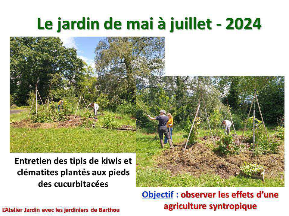 Un petit tour au jardin du lycée : le jardin de mai à juillet 2024 Un petit tour au jardin du lycée : le jardin de mai à juillet 2024